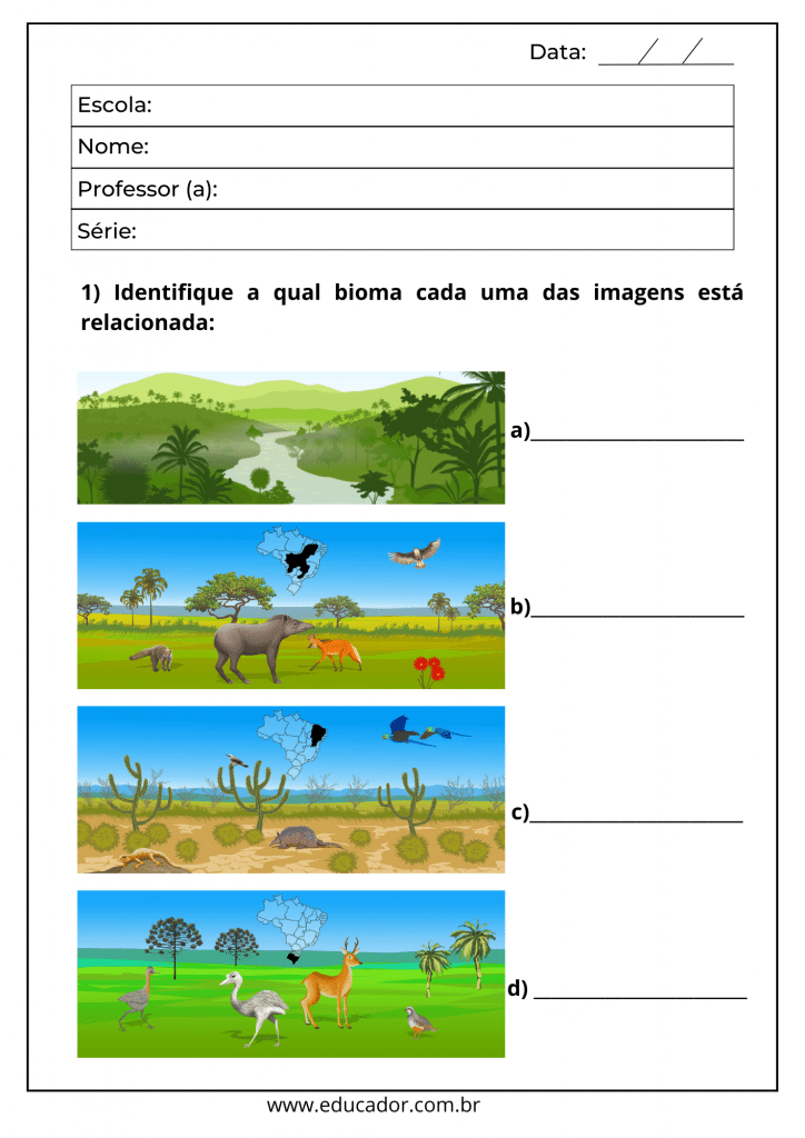 greografia series 1 a 5 5 - Atividades de Geografia para o 8º ano em PDF para imprimir